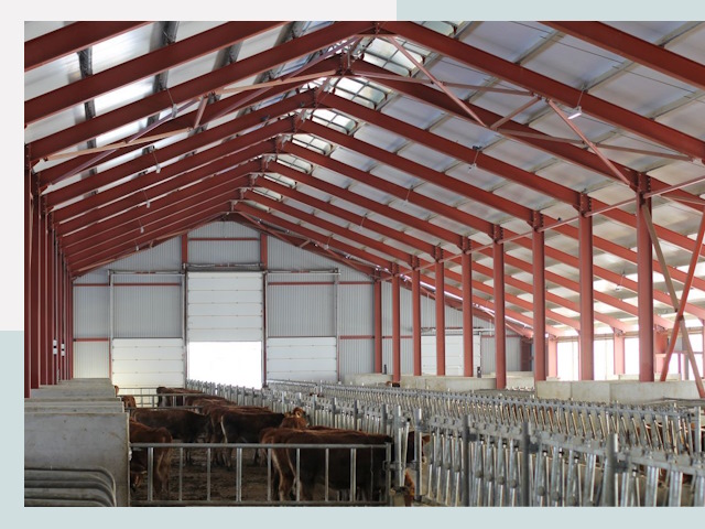 Строительство коровников в Дивногорске