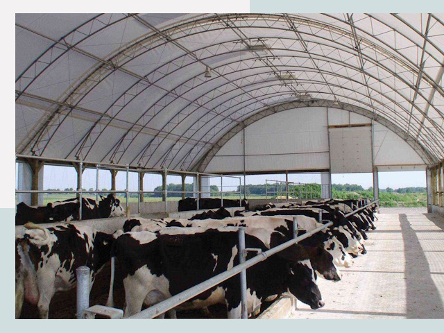 Тентовые коровники в Дивногорске